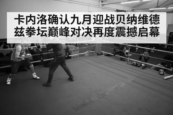 boxer training session