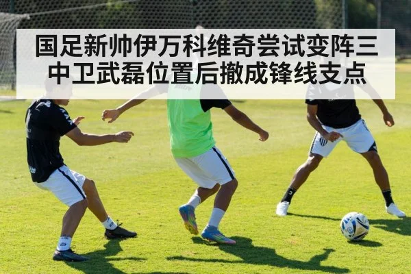 国足新帅伊万科维奇尝试变阵三中卫武磊位置后撤成锋线支点