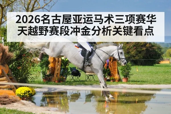 equestrian cross country jumping